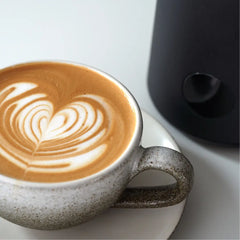 Subminimal NanoFoamer Pro GEN-1, 220 ML, 400W, Black