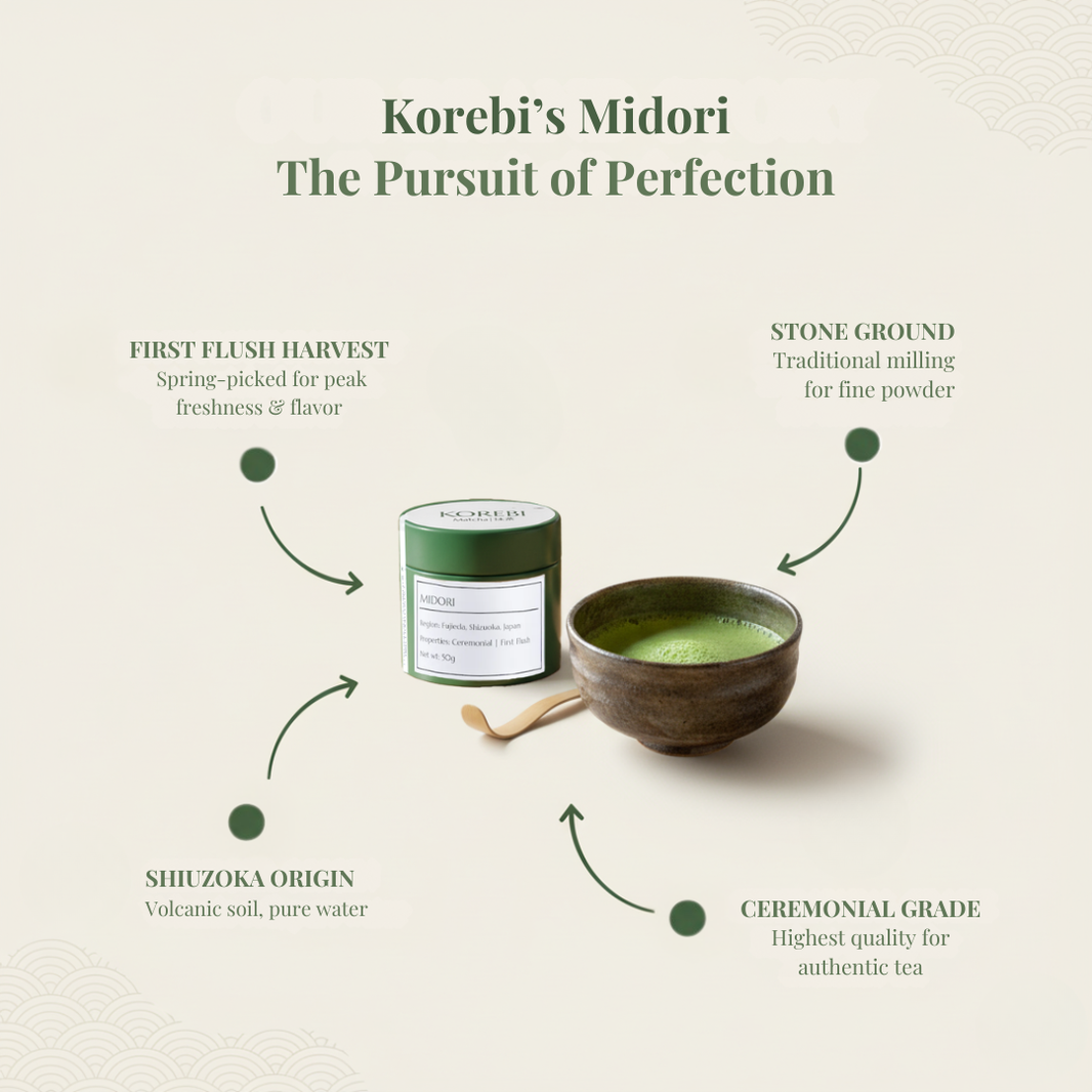 Midori_2_1066x.png?v=1773661531